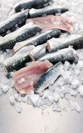 Les Filets de sardines
