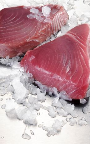 Le Pavé de thon albacore pour le sashimi