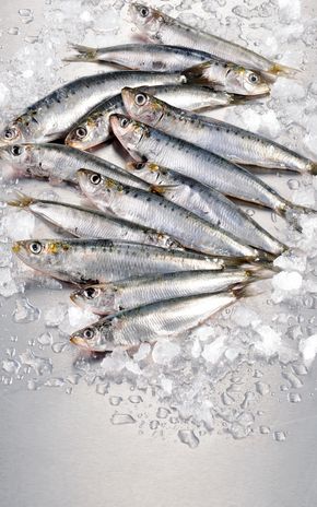 Les Sardines entières