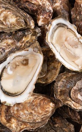 Les 18 Huîtres Spéciales Apéro de Bretagne n°5