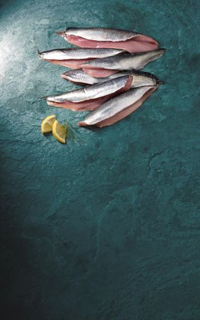 Le Hareng fumé kipper