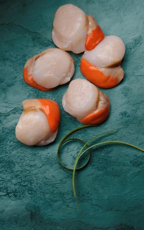 Les Noix de Saint-Jacques coraillées de Normandie