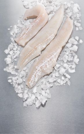Le Filet de merlan sans flanc sans arêtes