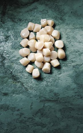 Les Noix de pétoncle blanches