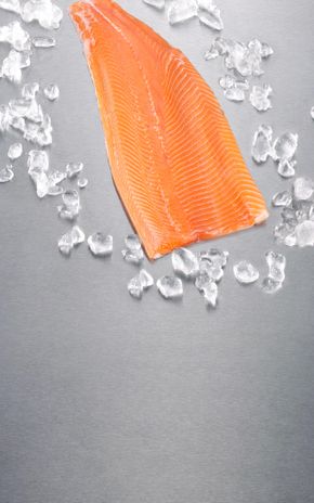 Le Filet de truite élevée en France