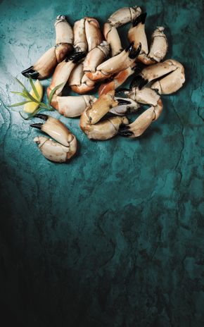 Les Pinces de tourteaux