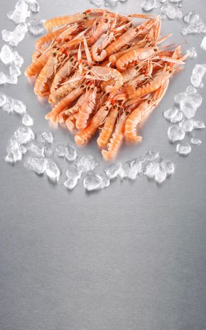 Les Langoustines cuites