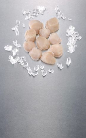 Les Noix de Saint-Jacques blanches
