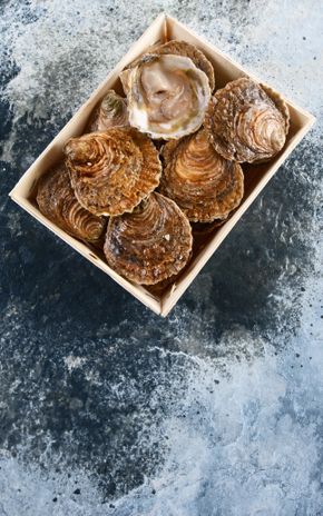 Les 12 Huîtres plates de Cancale n°1