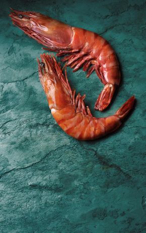 Les Gambas sauvages cuites U10