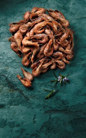 Les Crevettes grises MSC