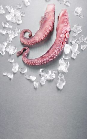 Les Tentacules de poulpe cuit