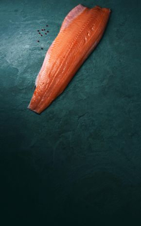 Le Filet de saumon Atlantique