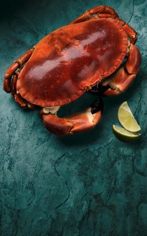 Le Tourteau cuit entier