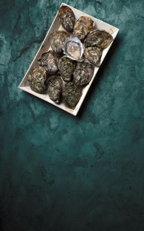 Les 12 Huîtres spéciales Héritage de Bretagne N°3