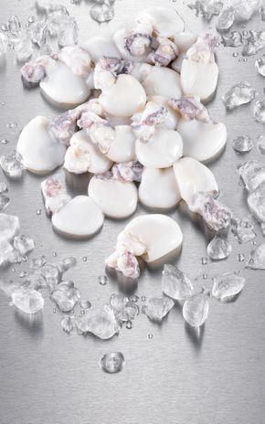 Les Petites seiches nettoyées