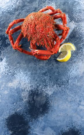 L'Araignée de mer cuite