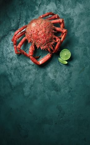 L'Araignée de mer cuite