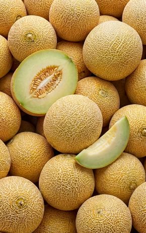 Le Melon galia BIO