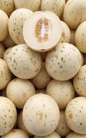 Le Melon blanc