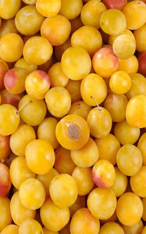 La Prune mirabelle BIO