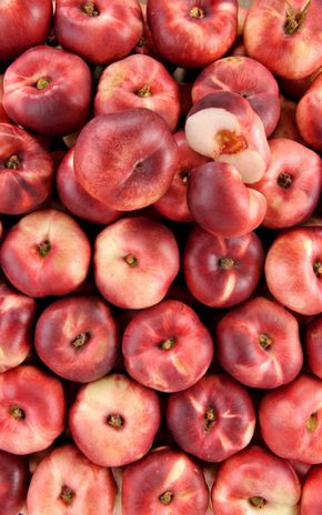 La Nectarine plate blanche HVE