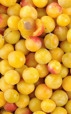 La Prune mirabelle