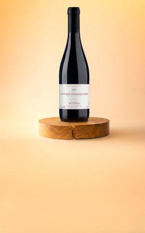 Le Vin rouge "Cuvée d'Antan 2023" Domaine de Rotisson