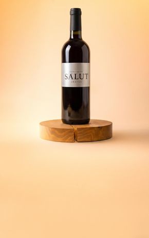 Le Vin rouge "Domaine du Salut Rouge 2023" Domaine du Salut BIO
