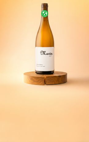 Le Vin blanc "Marie 2025" Maison Ventenac