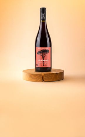 Le Vin rouge "Chez Clovis" Domaine Ampelous HVE