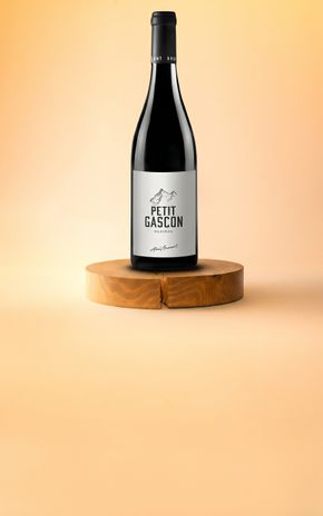 Le Vin rouge "Petit Gascon 2021" Châteaux Montus Et Bouscassé