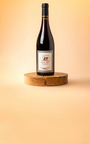 Le Vin rouge "Bourgogne Passetoutgrain 2023" Domain Saint-Pré