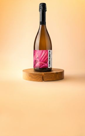 Le Prosecco Spumante Rosé Terre Dei Buth BIO