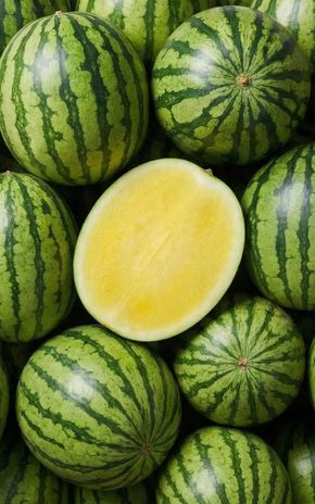 La Pastèque jaune BIO