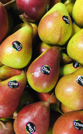 La Poire "Qtee"
