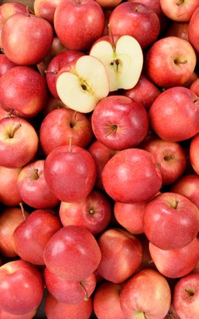 La Pomme gala BIO