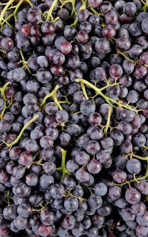 Le Raisin muscat HVE