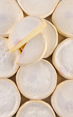 Le Reblochon de Savoie AOP Samoëns