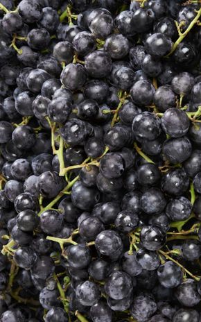 Le Raisin noir muscat BIO