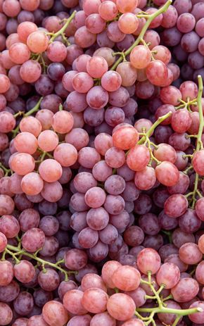 Le Raisin rose sans pépins candy snaps