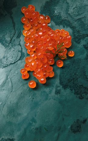 Les Œufs de saumon Kéta sauvages du Pacifique