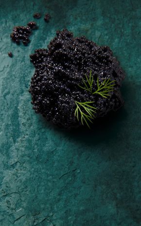 Les Œufs de lompe noirs MSC