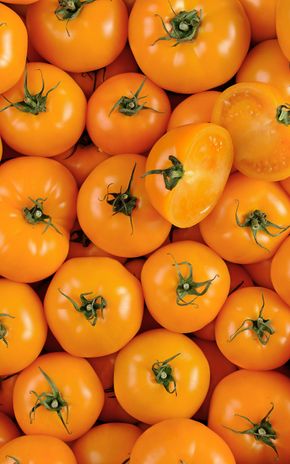 La Tomate à farcir orange