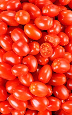 La Tomate cerise rouge allongée