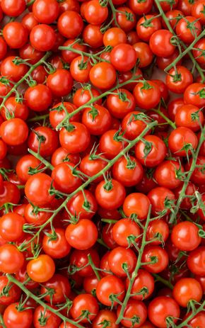 La Tomate cerise grappe en colis
