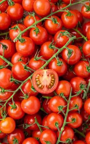 La Tomate cerise rouge grappe BIO