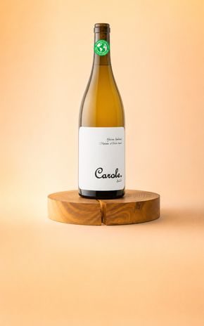 Le Vin blanc "Carole 2025" Maison Ventenac