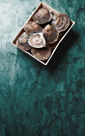 Les 12 Huîtres plates de Cancale n°1