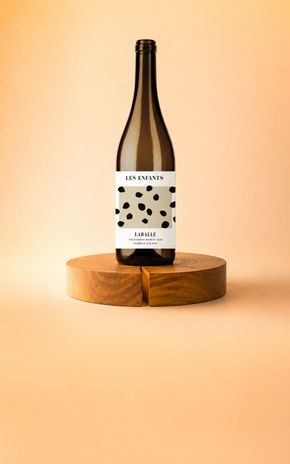 Le vin Blanc "Les Enfants" Domaine De Laballe